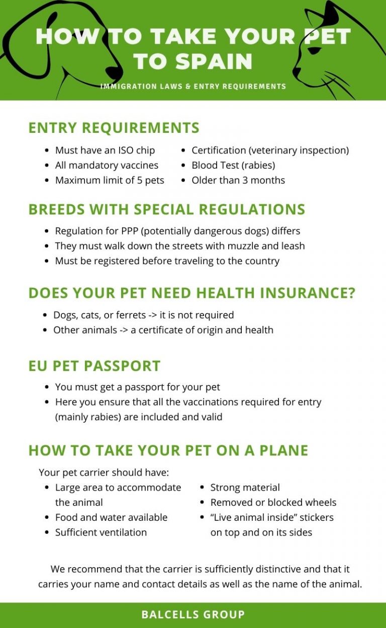 How to Take your Pet to Spain Entry Requirements & Laws