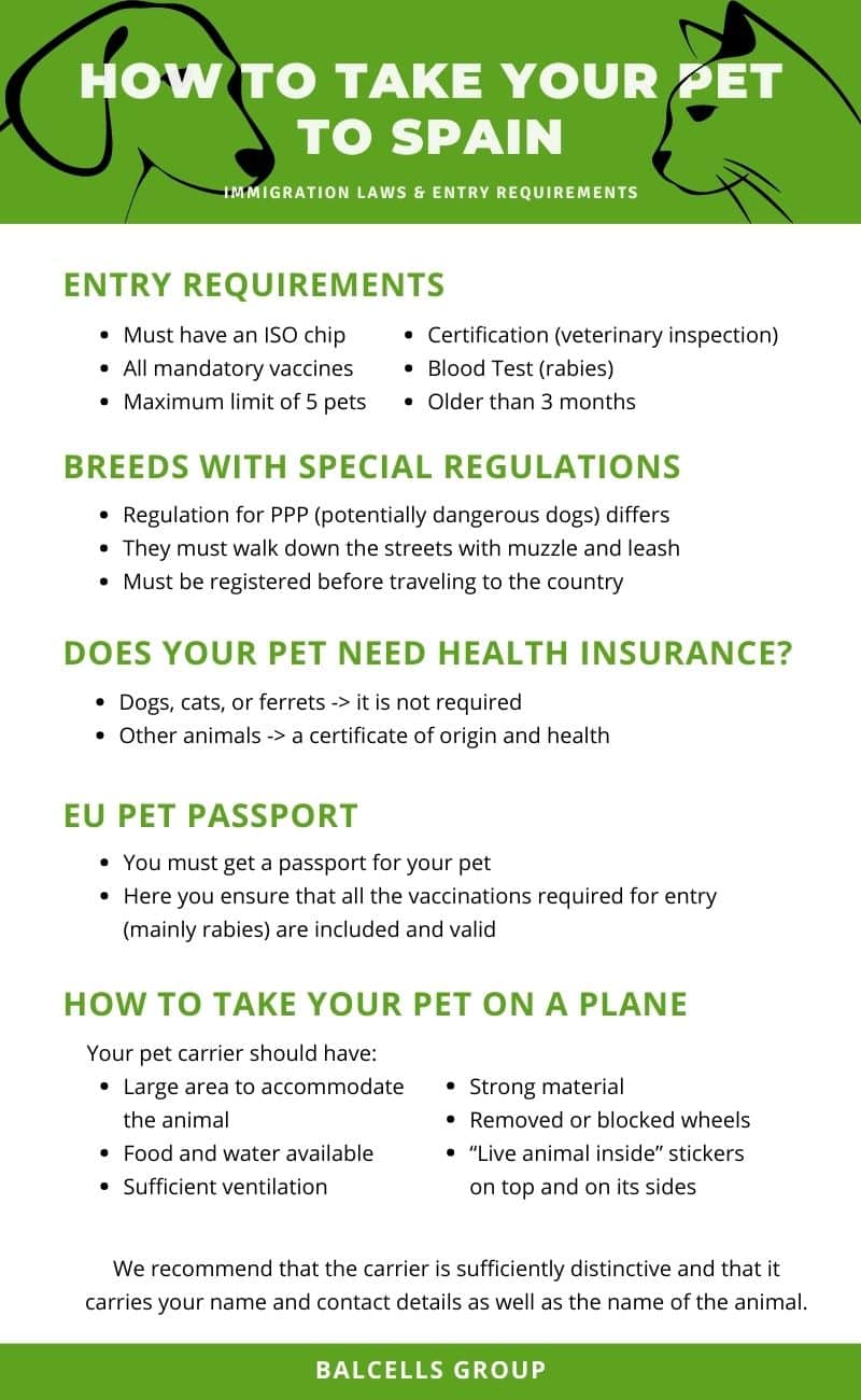 how long is a dog health certificate valid