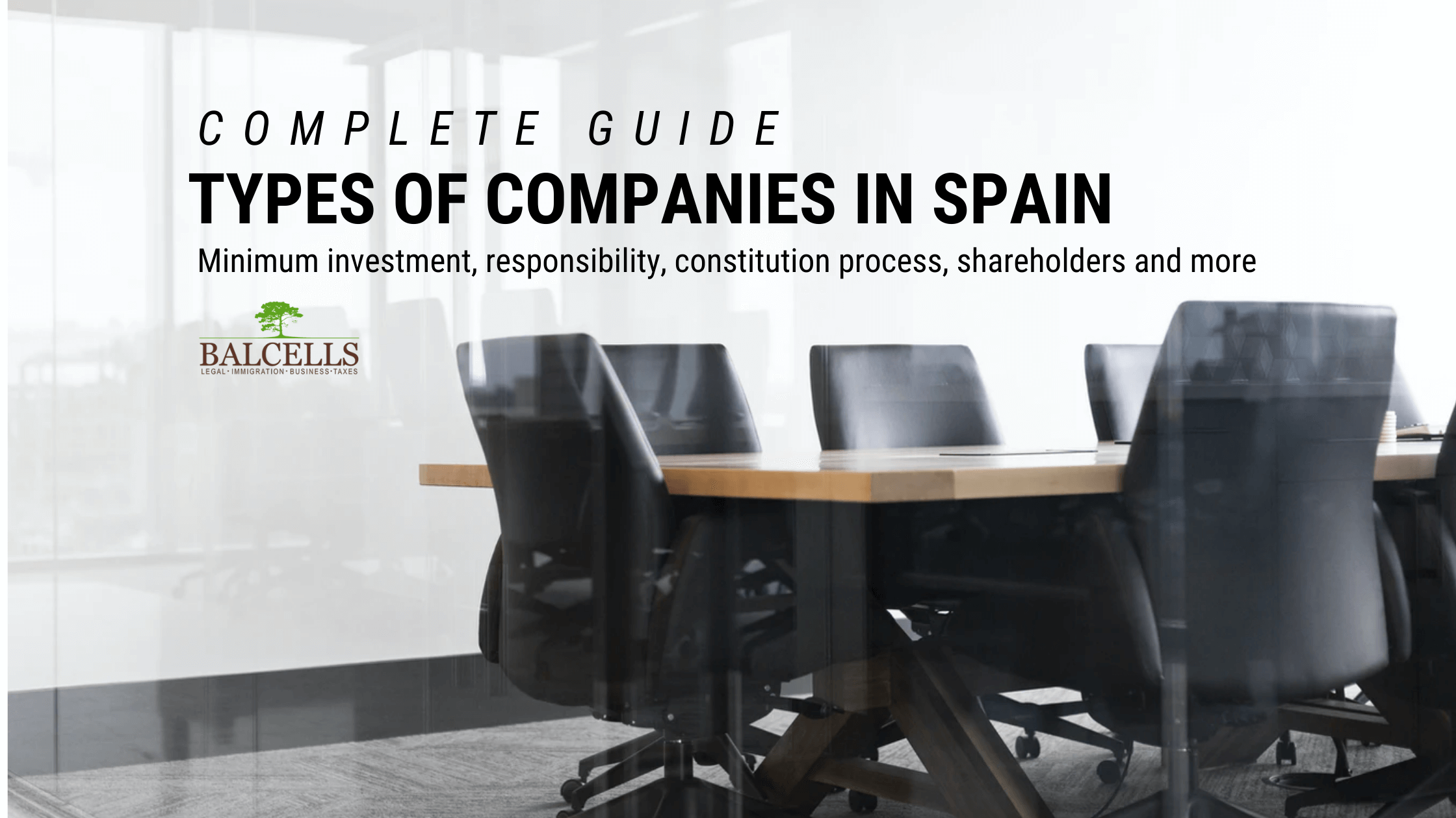 types of companies in Spain