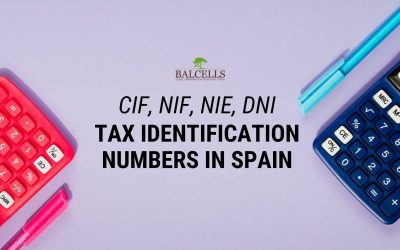 CIF and NIF in Spain: Spanish Tax Identification Numbers