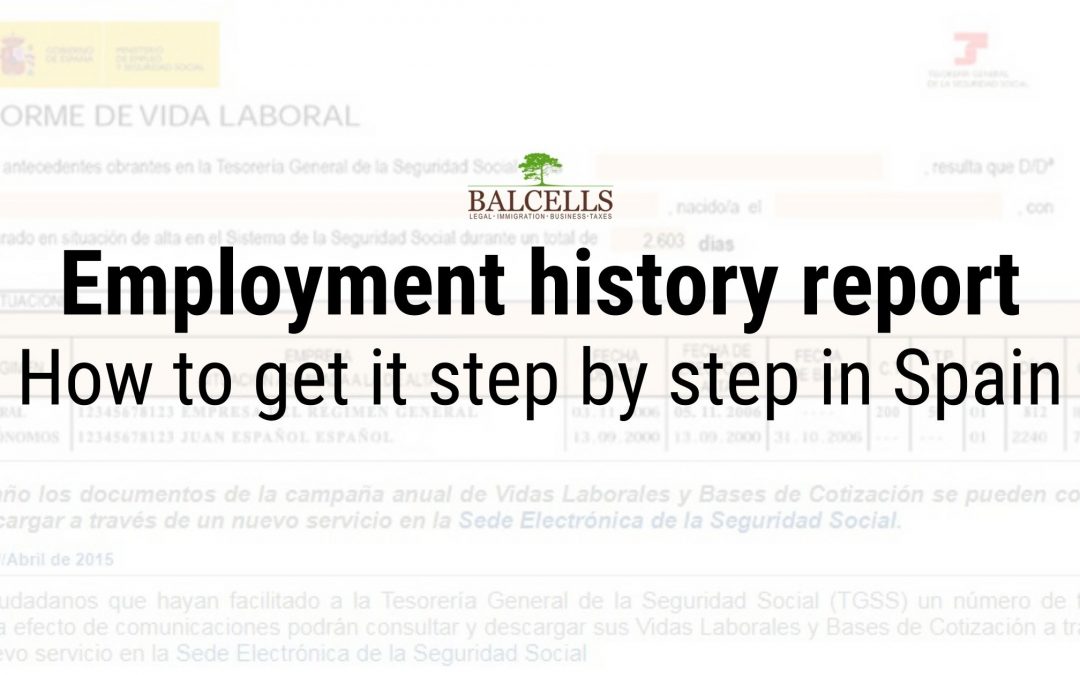 employment history report