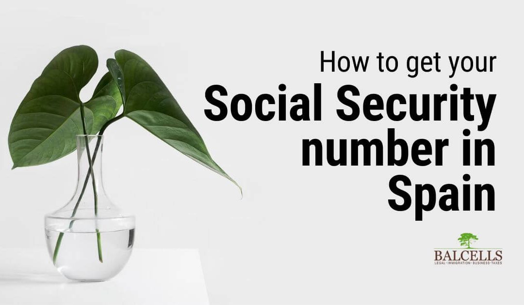 How to get your Social Security Number in Spain