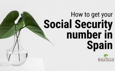 How to get your Social Security Number in Spain